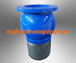China 10 inch 10K ductile iron flanged foot valve factory