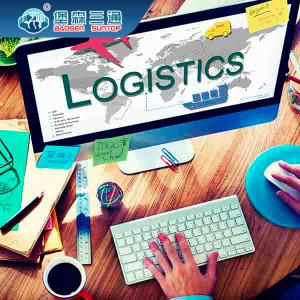 China World Ecommerce Freight Forwarder , E Commerce Logistics Repacking Labelling factory