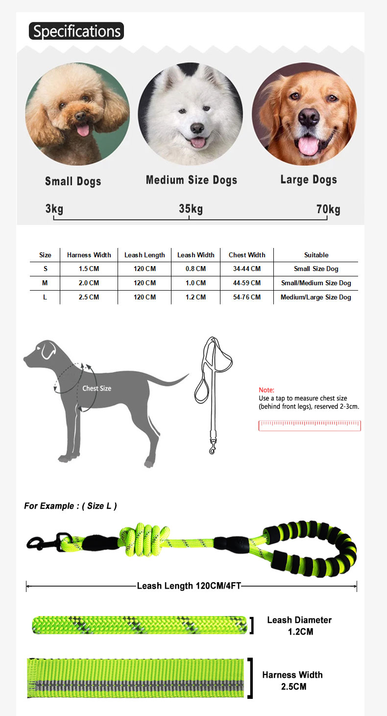 Adjustable Reflective Pet Dog Cat Harness With Nylon Leash Outdoor Training Collar Night Safety
