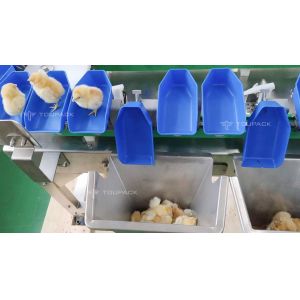 Custom Scallop Abalone Chicken Weight Sorting Machine Automatic Fruit Dates
