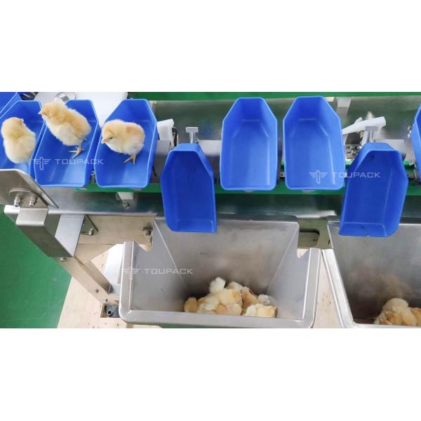 Custom Scallop Abalone Chicken Weight Sorting Machine Automatic Fruit Dates