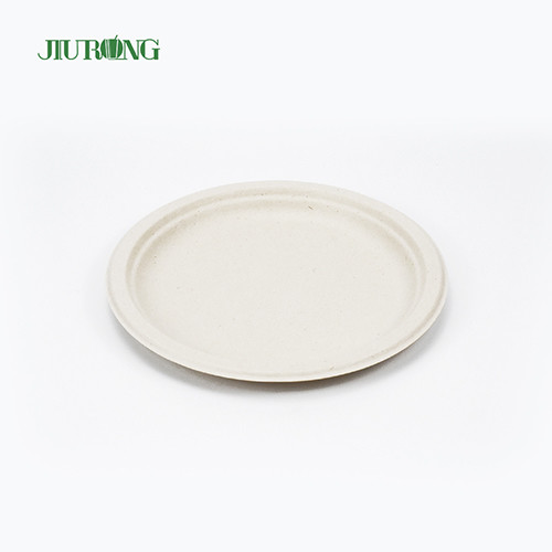 China Sushi Biodegradable Sugarcane Bagasse Plates Recycled 155mm Jiurong factory