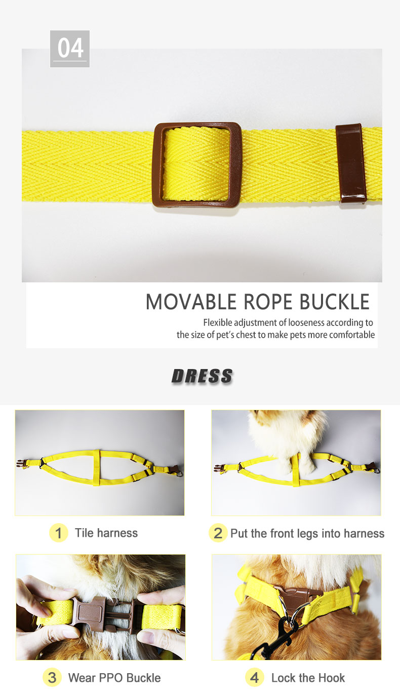 Fashion Colorful Pet Supplies Dog Harness And Dog Collar With Leash Rope