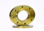 Dn15-Dn1200 Stainless Steel Threaded Pipe Flange 300lbs Multi Standard
