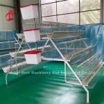 3 Tier 120 Birds And 4 Tier 160 Birds Layer Battery Cage System For Uganda