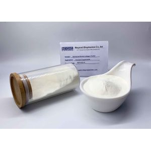 China 90% Purity Hydrolyzed Collagen Powder With Great Flowability Supplement Foods factory