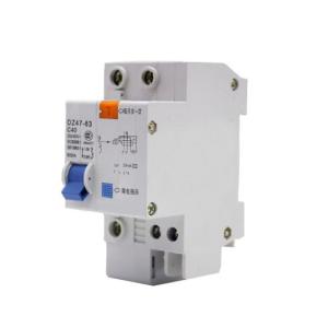 China DZ47LE-63 2P 1 china supplier Residual current air circuit breaker RCBO factory