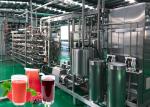 Customized Multifunctional Industrial Blueberry Sauce Processing Machinery