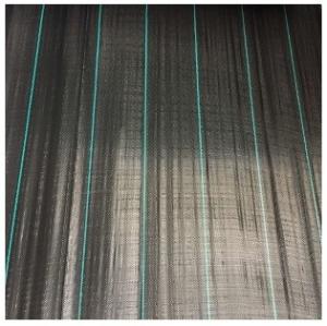 China Anti-Moisture PP Woven Fabric,Gound Cover, Weed Control Fabric 100gsm factory