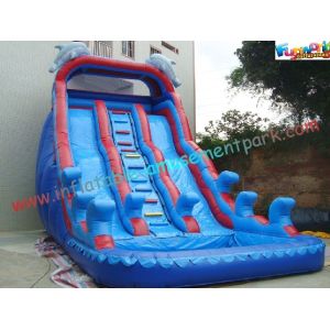 China Giant Dolphin Outdoor Inflatable Water Slides , Three Line Inflatable Water Slide Pool on sale