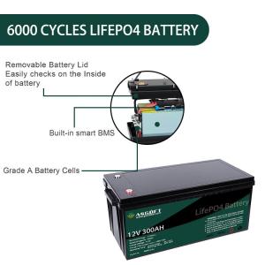 China ASGOFT 12V Lithium Battery Pack 300ah 12 Volt Lifepo4 Lithium Ion factory