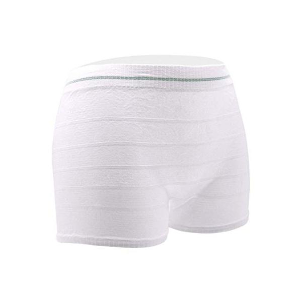 China Lightweight Durable Postpartum Mesh Underwear Breathable Leak Proof Protective factory