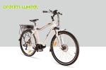 Electric Powered Mid Motor Electric Mountain Bike 10.4Ah Shimano RD-TX55