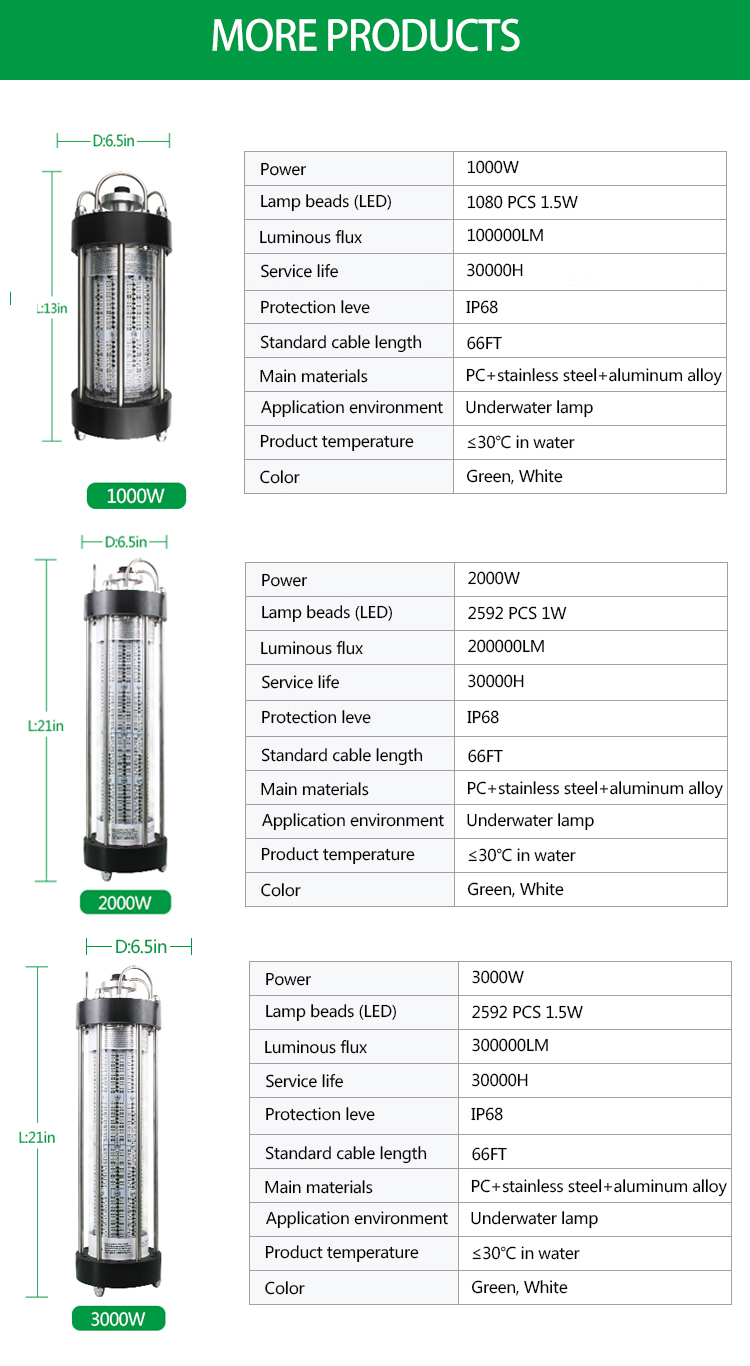 200W 1000W Submersible Fishing Light Outdoor Working Light AC220V
