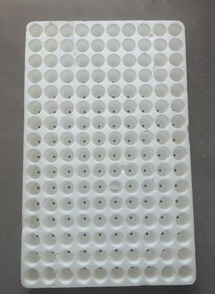 China 160-cell round seedling tray, sowing tray, floating seedling tray factory
