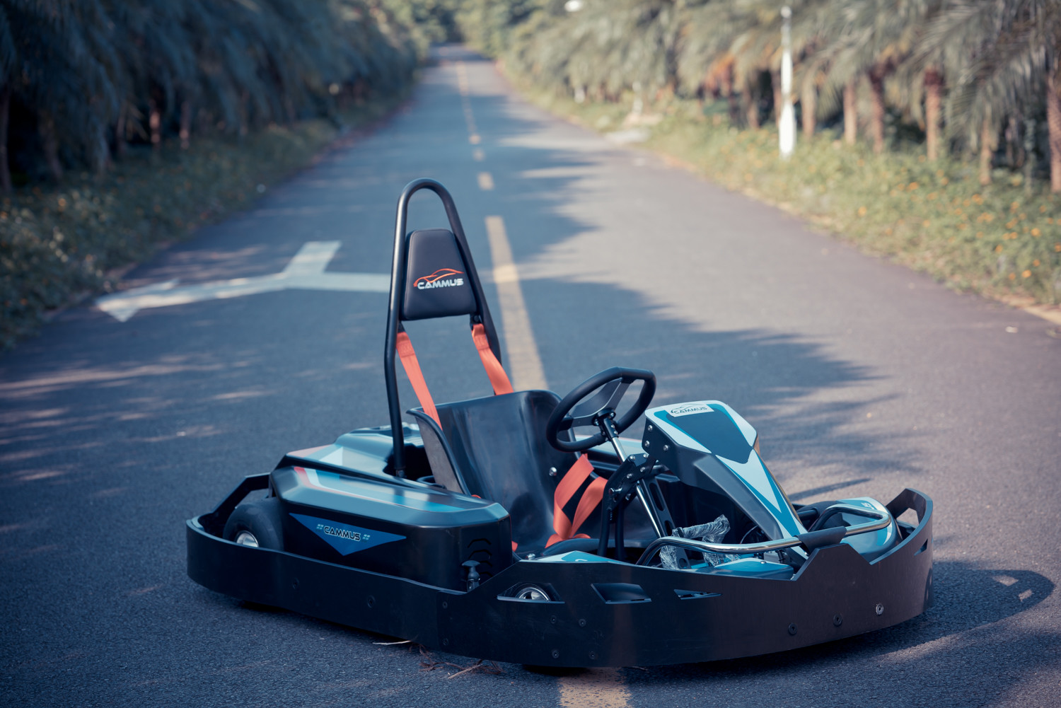 CE K1 Fast Indoor Go Karts With Differential 1860*1400*61mm