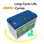 12v 100ah Lithium Iron Lifepo4 Battery BMS Energy Solar Control 12V
