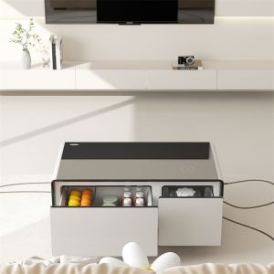 Grade 2 Energy Efficiency Rating Music Player Refrigerator for Luxury Living