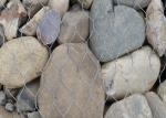 Hot Dip Galvanized PVC Coated Gabion Wire Mesh For Rock Walls