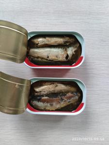 China No Additives Canned Sardine Fishfor Quick Lunch Or Light Dinner factory