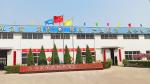 Customized Aluminum Die Casting Service with P20/718/738/NAK80/S136/2738/2316