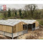 Ventilation Steel Structure Cow Shed , Durable Steel Livestock Shelter For Dairy