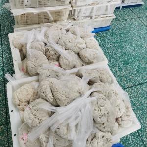 China Customization Lamb Intestine Casings For Snack Sticks No Additives factory