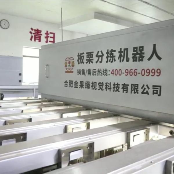 AI Powered High Accuracy Chestnut Sorting Machine with Capacity 2.3-3.3Tons/Hour