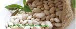 White Kidney Bean Extract 3000 units/g, 10:1，phaseolin1-3%, Chinese manufacturer