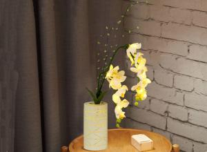 China LED simulation Phalaenopsis vase lamp interior decorator warm light small night light seven color flowers factory