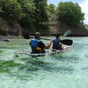 China Fast Speed Cool Double Paddle Canoe , Stabilized Clear Fishing Rowing Boats factory