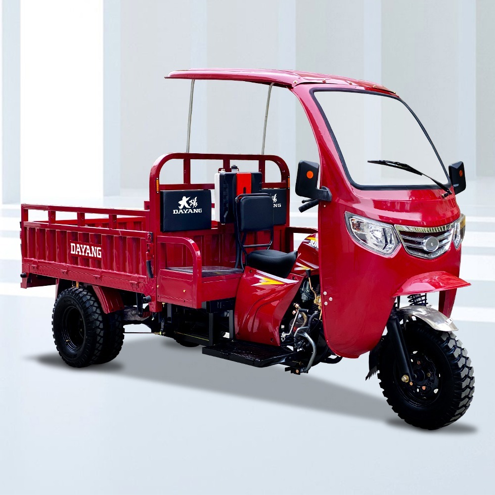 Cabin DAYANG Motorized Adult Passenger Cargo Tricycle 3 Wheel Bike Taxi Tuk Tuk Cart