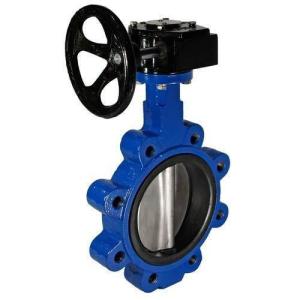 China Cast Iron Lag Type Gear Operated Butterfly Valves 200Psi 15mm To 300Mm factory