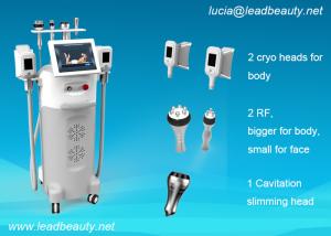 China -15℃ cooling Beauty Fat Reduce Cryolipolysis Slimming Machine/Cryo machine factory
