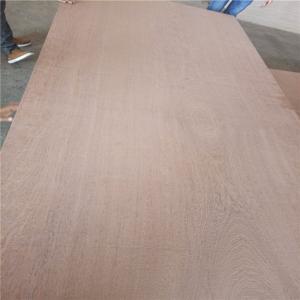 China Environmentally WBP Phenolic 12mm Sapele Faced Plywood factory