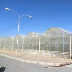 Agriculture Polycarbonate Sheet Greenhouse For Tomato Farming