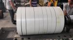 DX51D 0.3mm PPGL Steel Coil Hot Dipped Color Coated 50mm Width