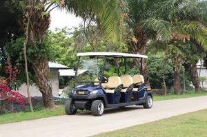 China Best Electric Sightseeing Shuttle Bus 6 Passenger With CE Approved factory