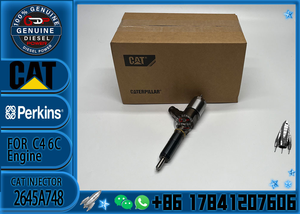 Common rail injector fuel injecto 10R-7675 2645A748 2645A743 320-0670 for C4.2 C6.4 Excavator C4.2 C6.4 320D