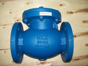 China BS check valve flanged ends factory