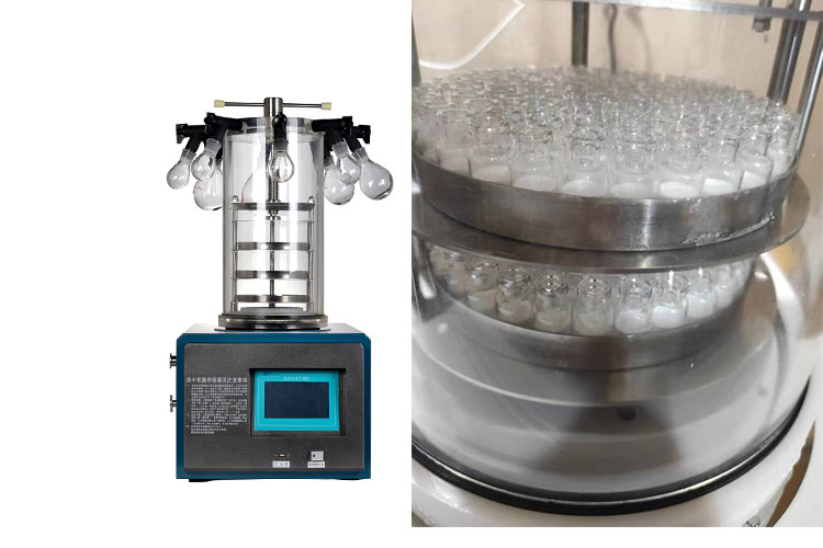 4-6kg/Batch Food Vacuum Freeze Dryer Air Cooling