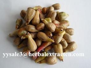 natural antioxidant Grape seed Extract, OPC 95%, WHITEN SKIN, anti wrinkle, anti
