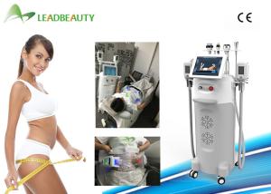 China Top 5 handls 2000W body slimming cryolipolysis cryo fat freezing machine factory