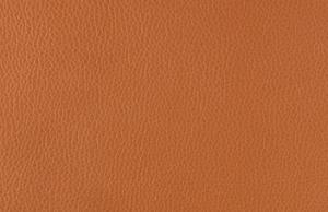 China Tanning Protease Leather Enzyme Industrial Enzymes Soluble Protein Loosening Collagen Fiber factory