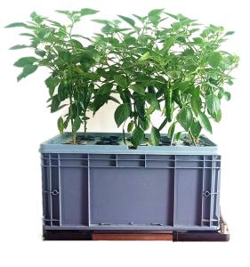 China Leafy Greens Growing Cloner Bucket Cannabis Aeroponic Grow System factory