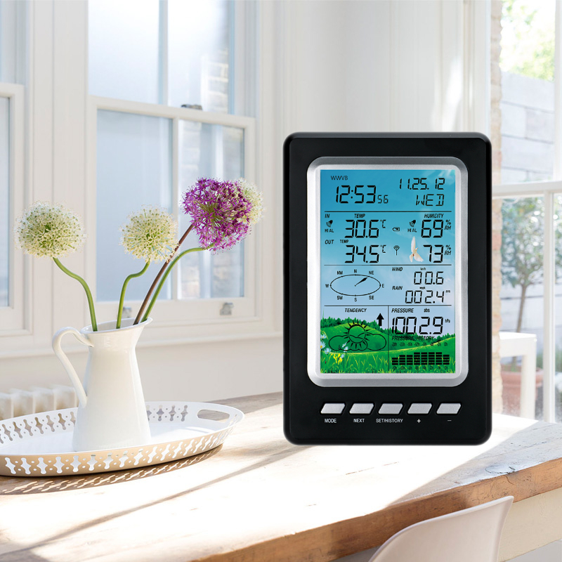 Professional Temperature And Humidity Outdoor Wireless Weather Station With Rain Gauge