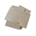 Full Poplar Core E0 Glue CARB Birch Faced Plywood