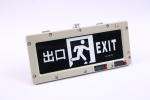 BYY-3w-IP65 Flameproof Emergency Light 120 Mins LED 220VAC 24/36VDC 3000/4000