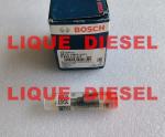 BOSCH Common Rail fuel NOZZLE 0433172271 , DLLA149P2271 , 0 433 172 271 , DLLA