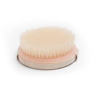 China Cruelty Free Fiber Bristle Brush Massage Brush For Body Cellulite Exfoliating factory